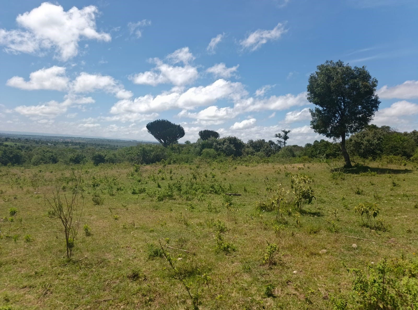 Nkairamram land thumbnail 4